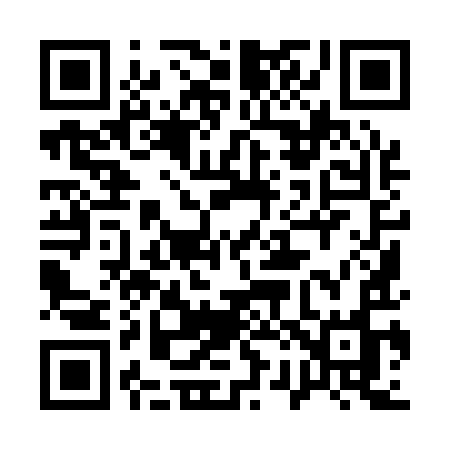 QR code for 12919O