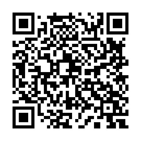 QR code for 13384W