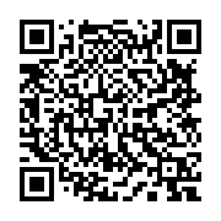 QR code for 13387P