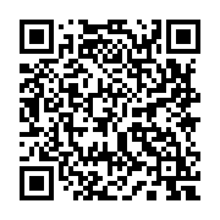 QR code for 13991Z