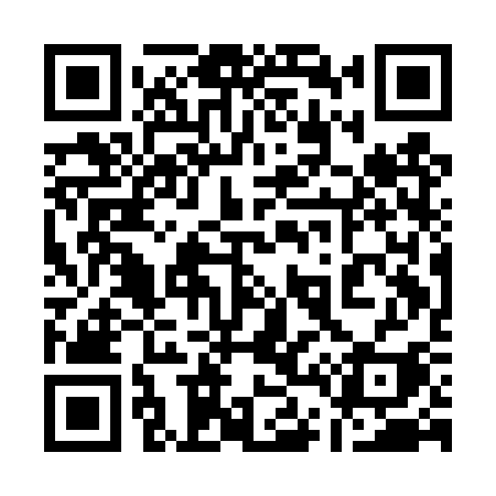 QR code for 141DSI