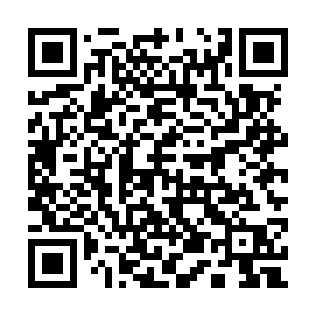 QR code for 155MSP