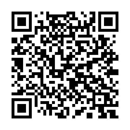 QR code for 161WPS