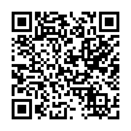 QR code for 16393P