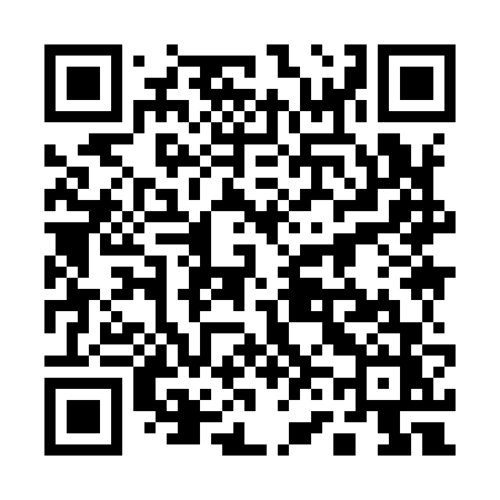 QR code for 16996Z