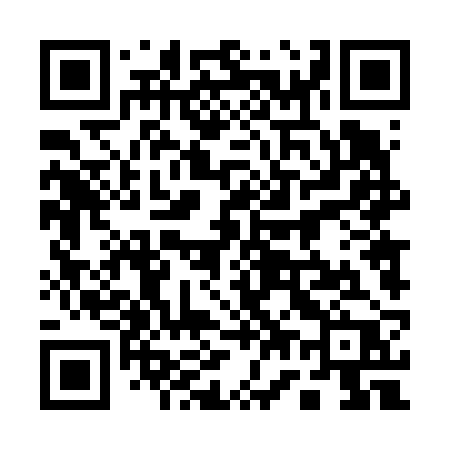 QR code for 17462P