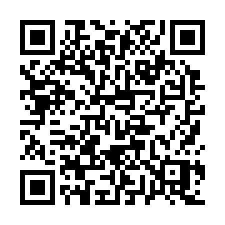 QR code for 17833P