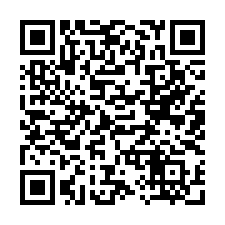 QR code for 1993YS