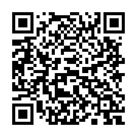 QR code for 19950L