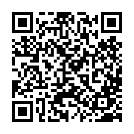 QR code for 2004MV