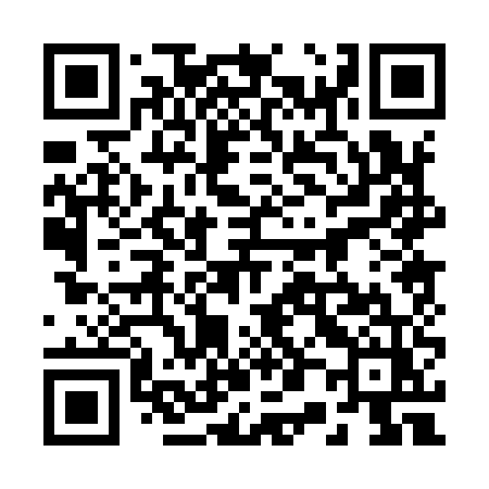 QR code for 20095Z