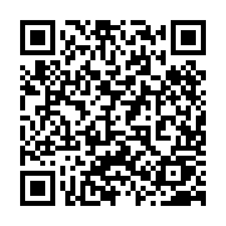 QR code for 2010OU