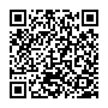 QR code for 20370Z