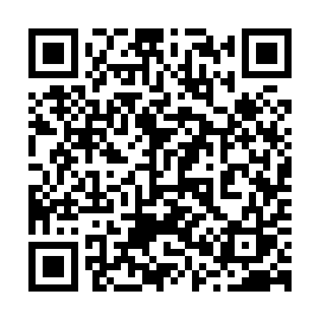 QR code for 20381S
