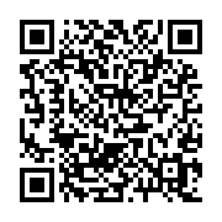 QR code for 206IEM