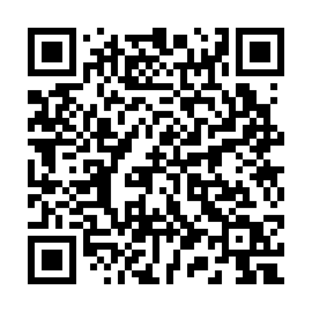 QR code for 21333T