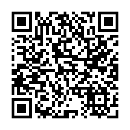 QR code for 219ISO