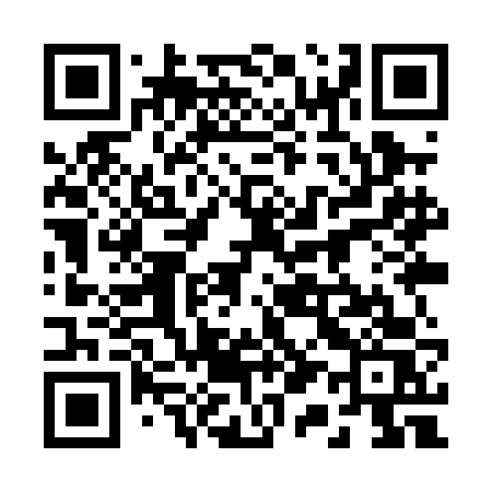 QR code for 219PFS