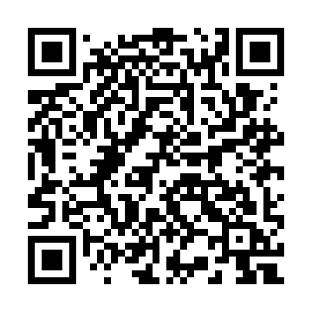 QR code for 221GIC