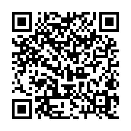 QR code for 221IMM