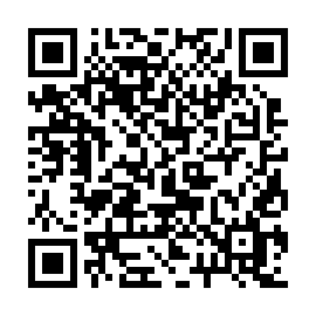 QR code for 22325L