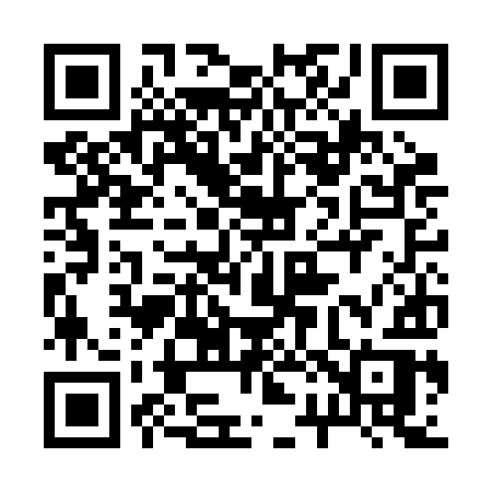 QR code for 223BIR