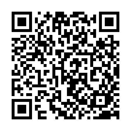 QR code for 223SYO
