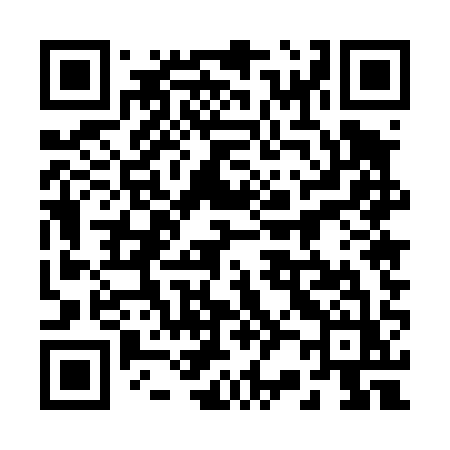 QR code for 22541Z