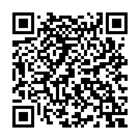 QR code for 225ASM