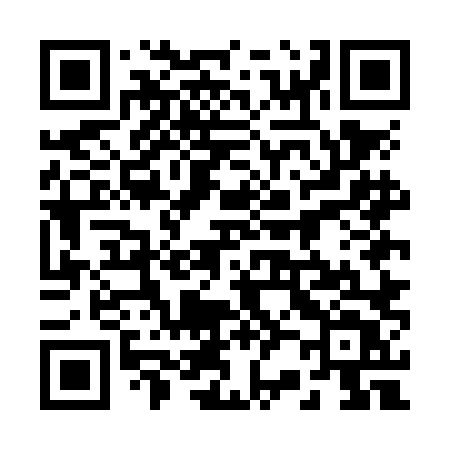 QR code for 225NLT