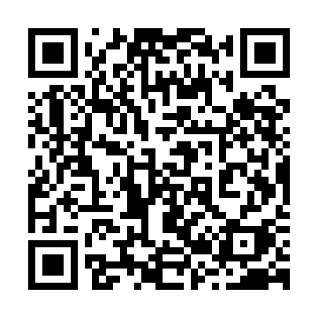 QR code for 225QCI