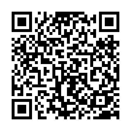 QR code for 228BAU