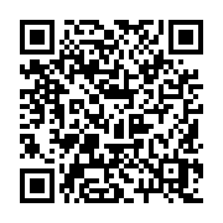 QR code for 2295IT