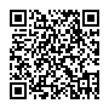 QR code for 249IEI