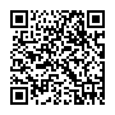 QR code for 25291R