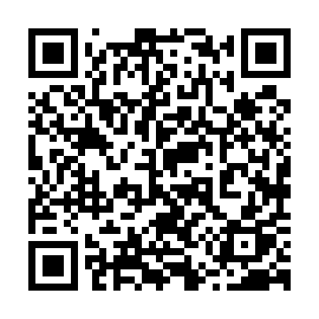 QR code for 25851P
