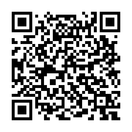 QR code for 28313T