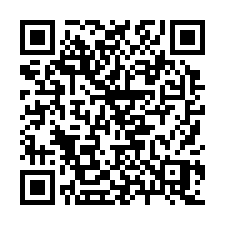 QR code for 28830P