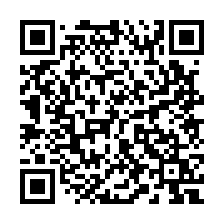 QR code for 29017U