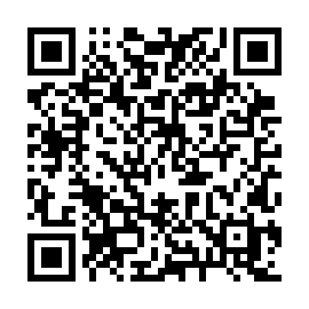 QR code for 290SLH