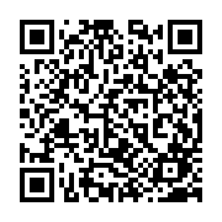 QR code for 291APN