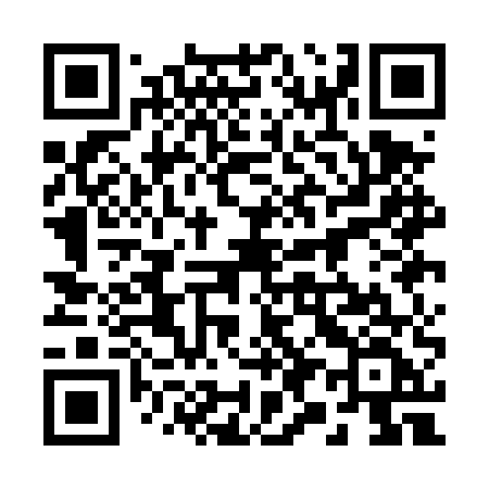 QR code for 291DUF