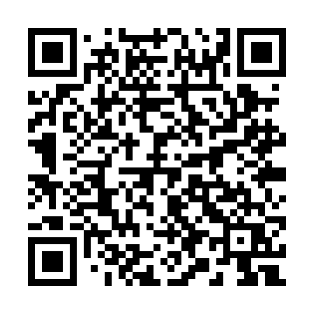 QR code for 291PFQ