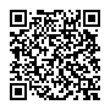 QR code for 29203P