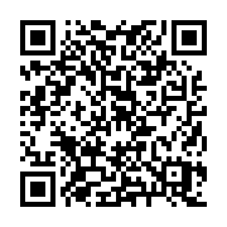 QR code for 29203U