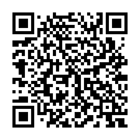 QR code for 293SPI
