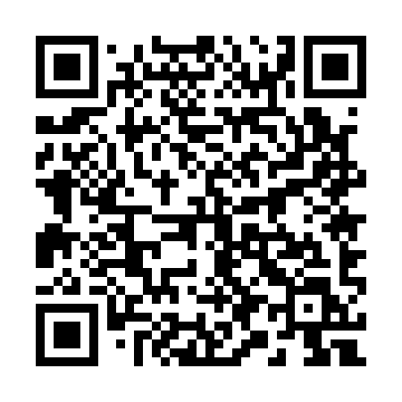 QR code for 29519L