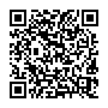 QR code for 29529S