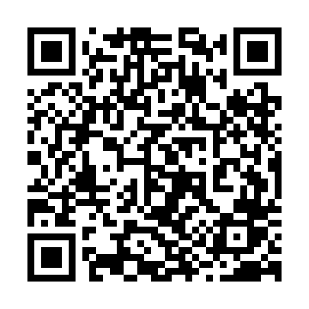QR code for 295CDR