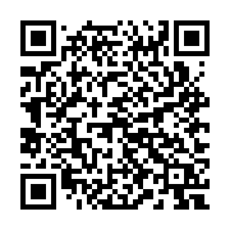 QR code for 295CZP